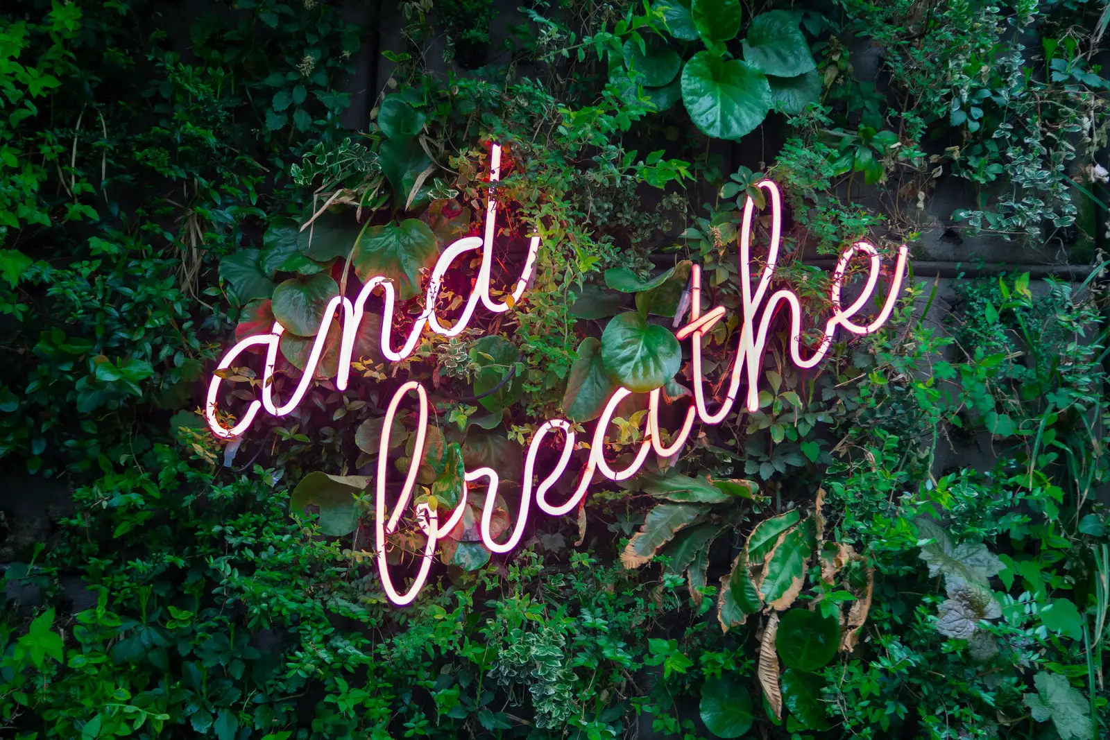 student and breathe neon sign on calm app